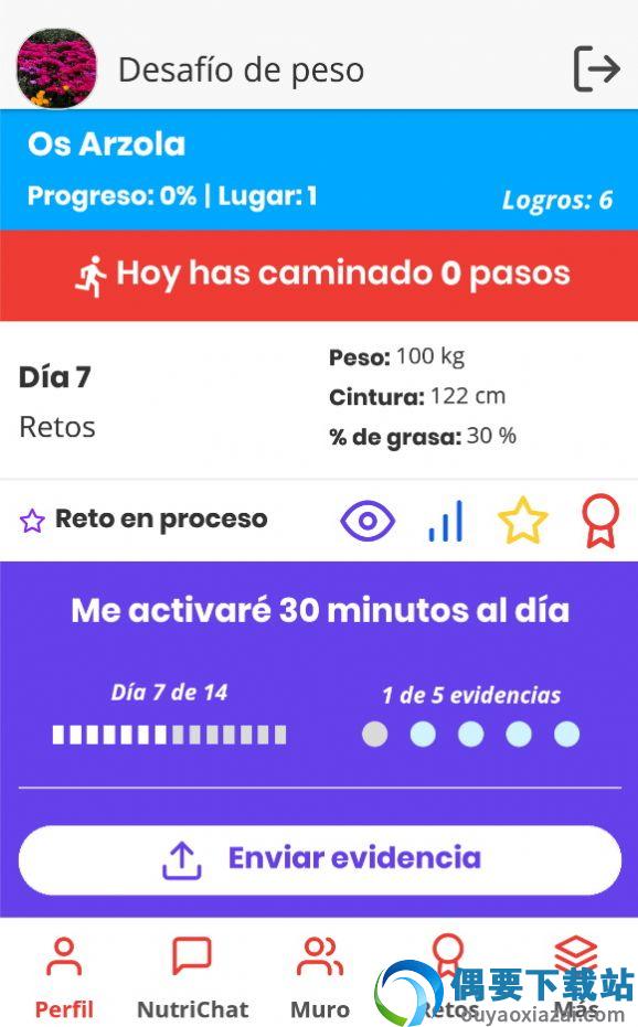 Desafío截图3
