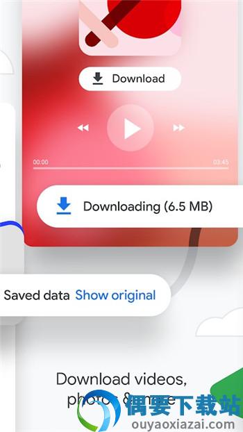 Chrome apk图3
