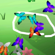 圈蝴蝶(Loop Butterfly)