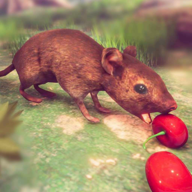 老鼠模拟器猫和老鼠(Mouse Simulator: Cat Mouse)