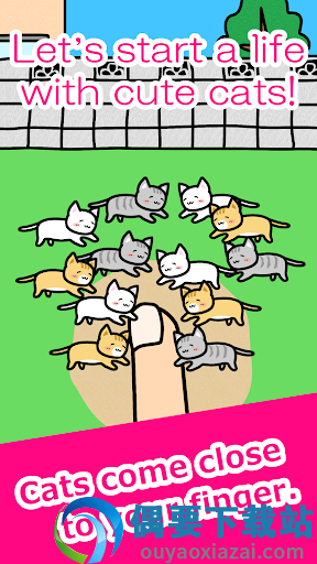 手指小猫(Play with Cats)