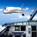 飞行员飞机模拟驾驶(Pilot Flight Simulator)