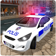 真正的警车驾驶(Real Police Car Driving)