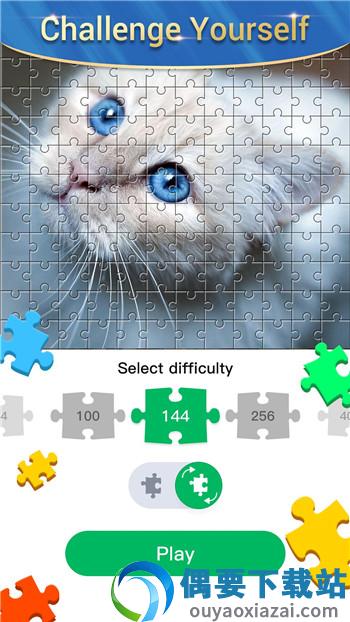 拼图大师(Jigsaw Puzzle Master)-3