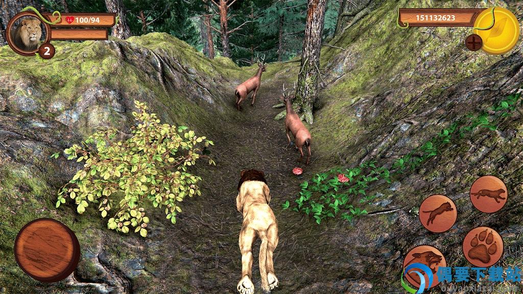 野生狮子动物生存(Wild Lion Simulator)-2