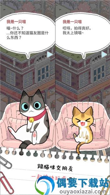 猫友圈图2