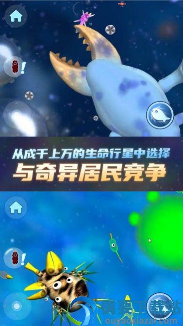 物种进化器