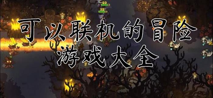 多人联机冒险游戏