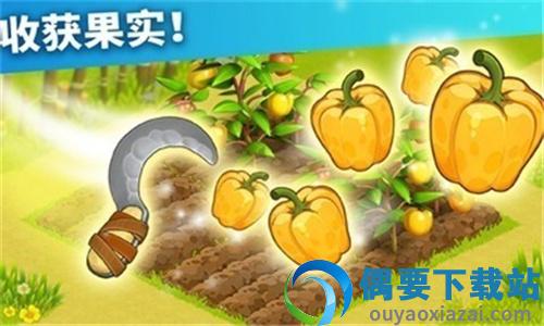 家庭岛官方版