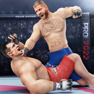 mma拳击格斗(Martial Arts Fighting Games)