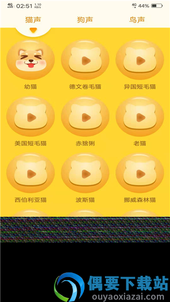 人宠翻译器下载中文版