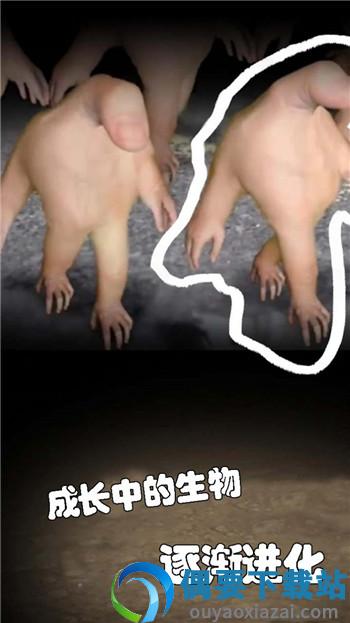 小小手指进化之路