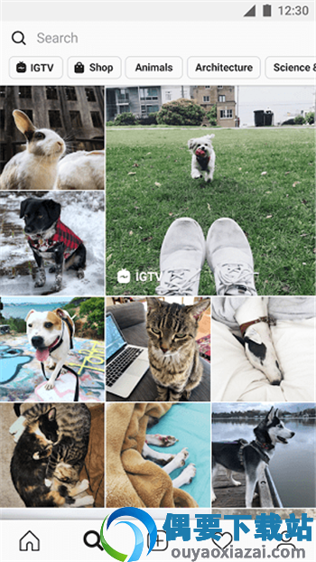 instagram官方版app-1