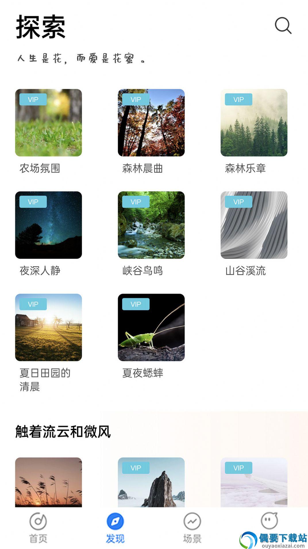 蜜獾睡眠助眠-2