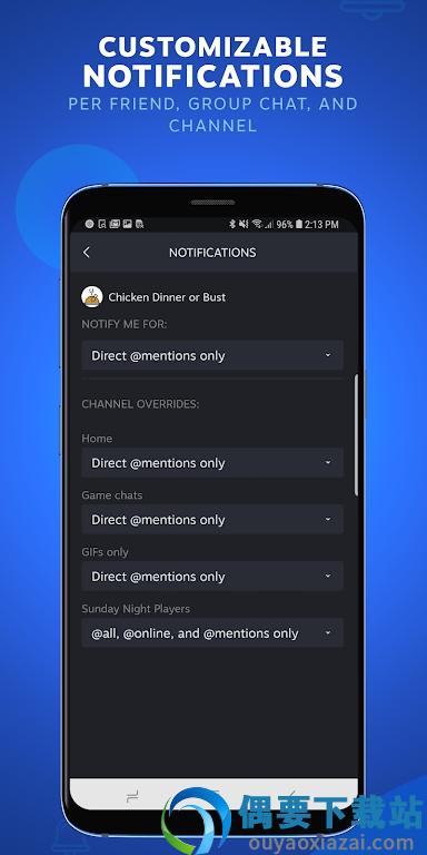 Steam Chat截图4