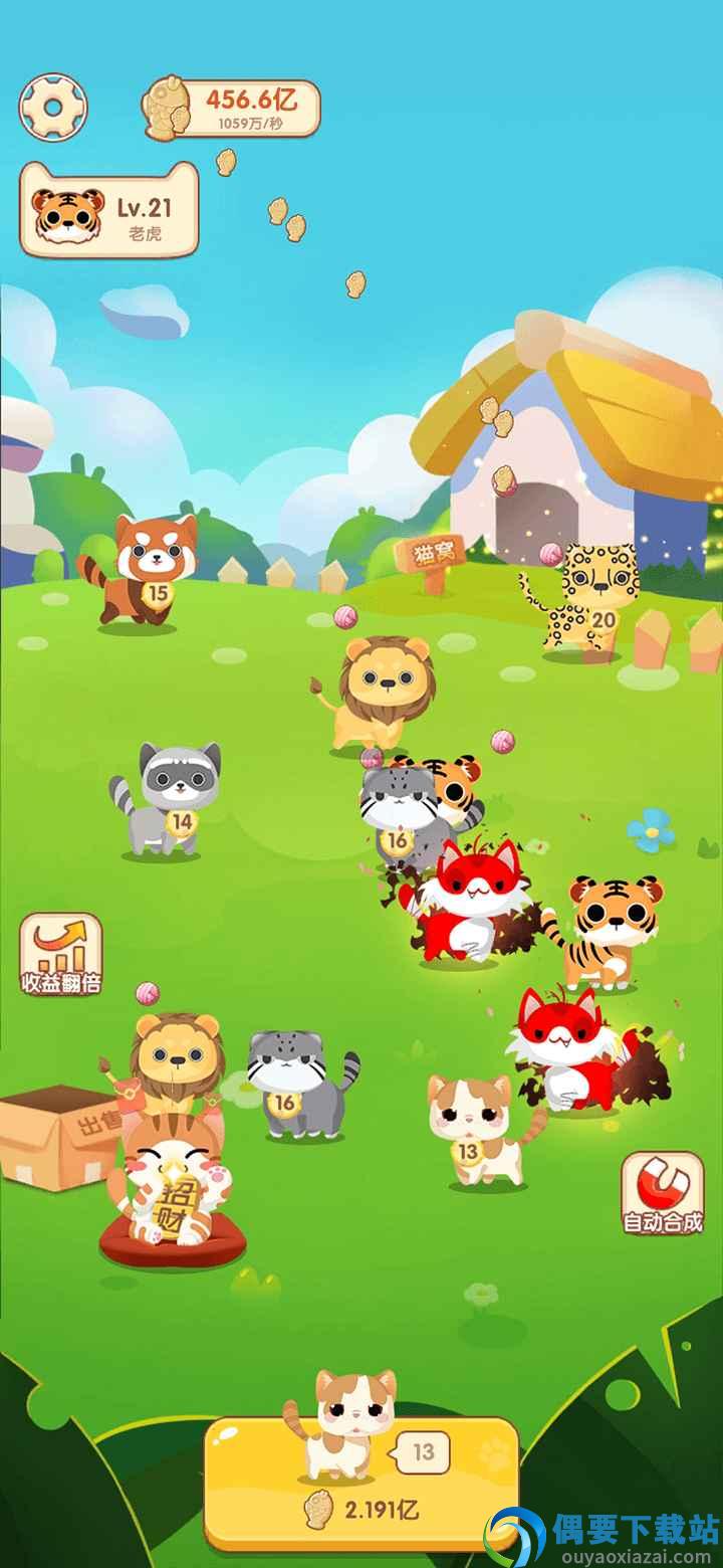 红包养猫猫图3