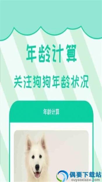 宠物人狗翻译