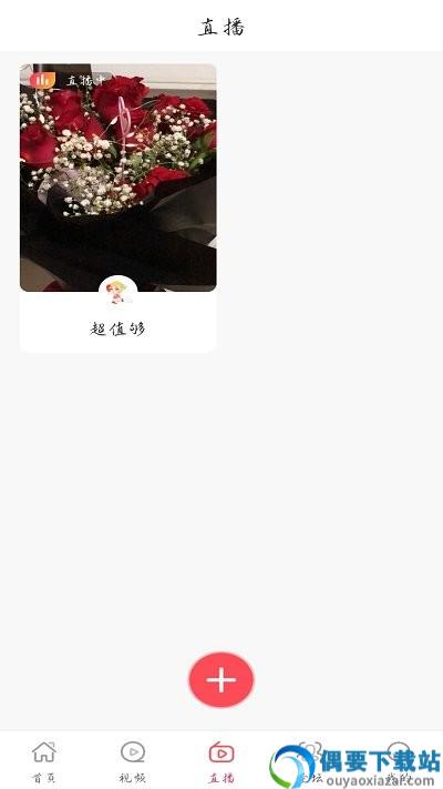 芒果日记