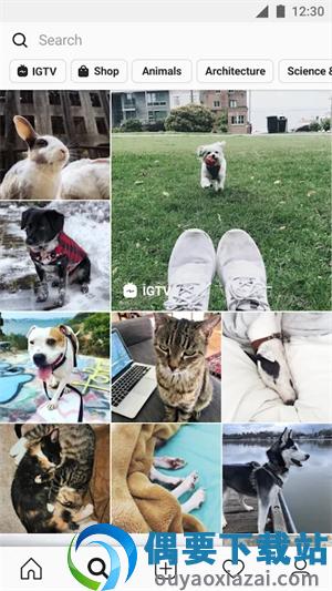 INStagram最新版-0