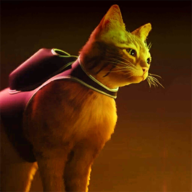 The Stray Cat