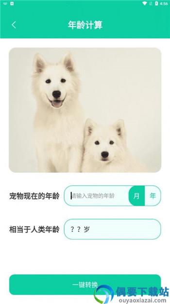 人狗翻译