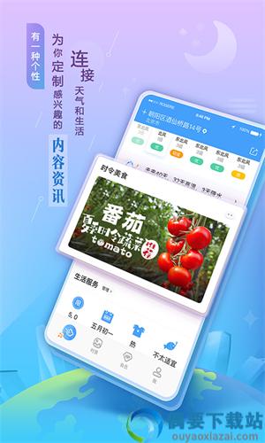 墨迹天气官方版免费-1