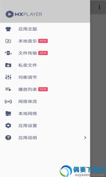 MX播放器专业版最新版截图1