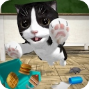 猫咪模拟器无限金币无限钻石版