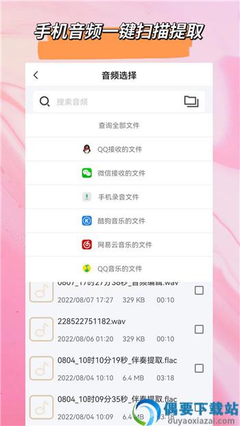 音频格式大师图2