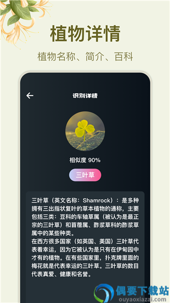 拍照识花大师