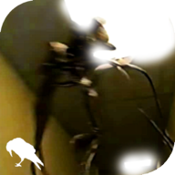 暗房backrooms
