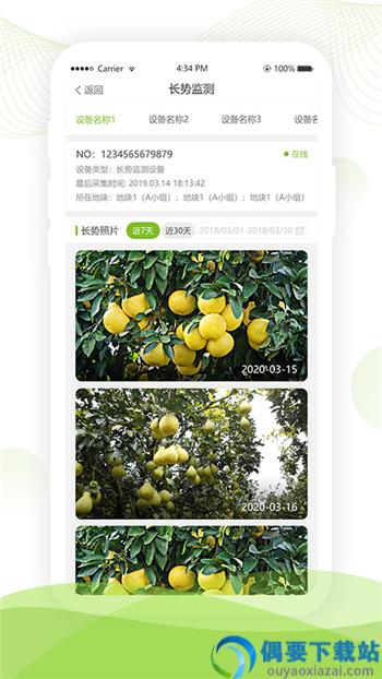 菜可爱app