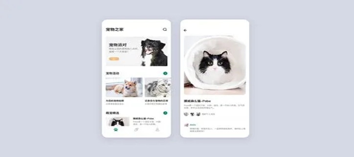 宠物日常记录app