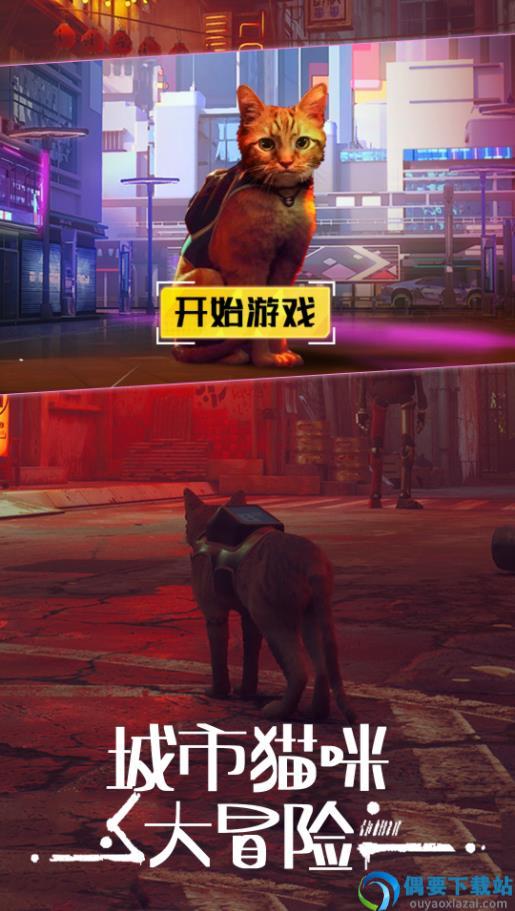 城市动物大冒险