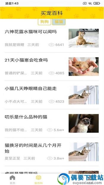 富张东狗截图1