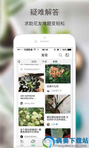 绿手指