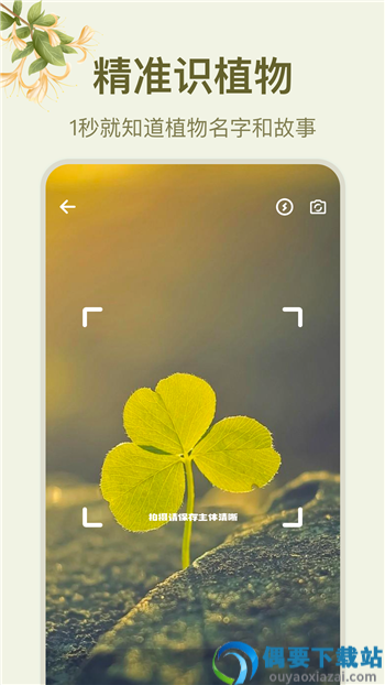 拍照识花大师截图4