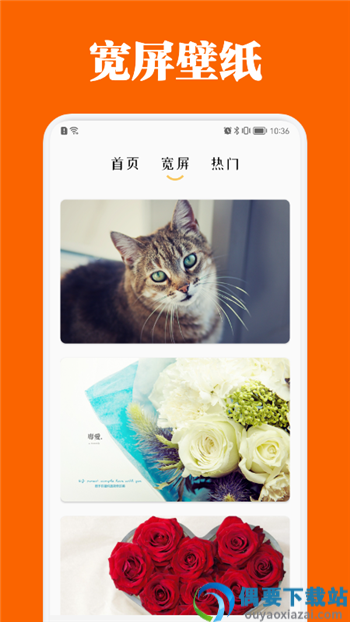 百变主题商店图4