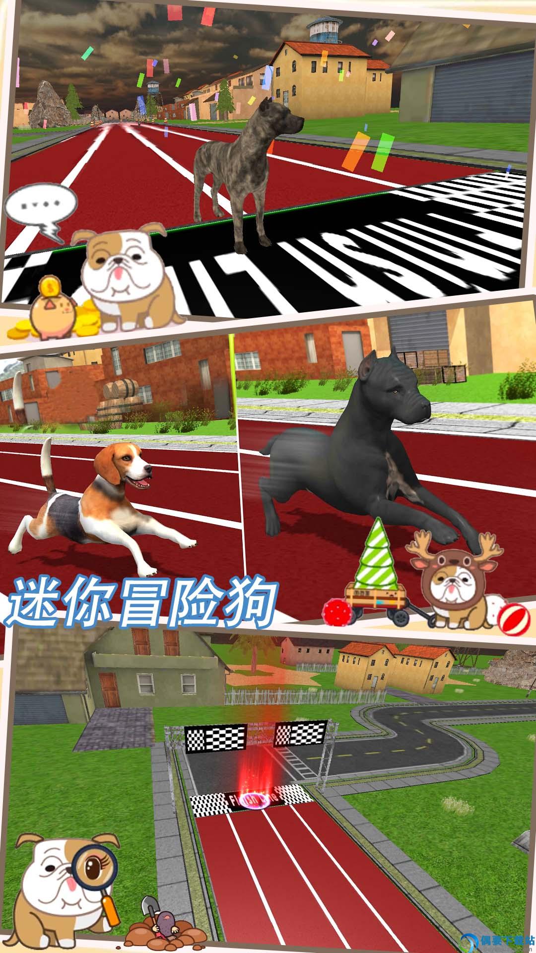 迷你冒险狗图1