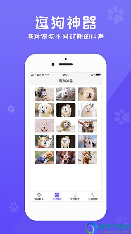狗生翻译器-2
