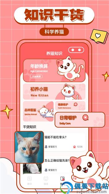 猫咪翻译物语