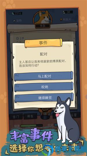 狗生模拟器破解无限钻石