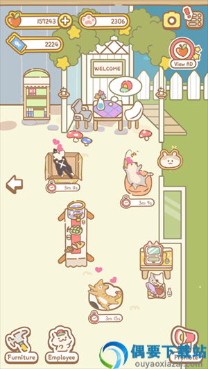 猫猫水疗馆