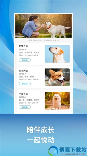小兔乐跑app图3
