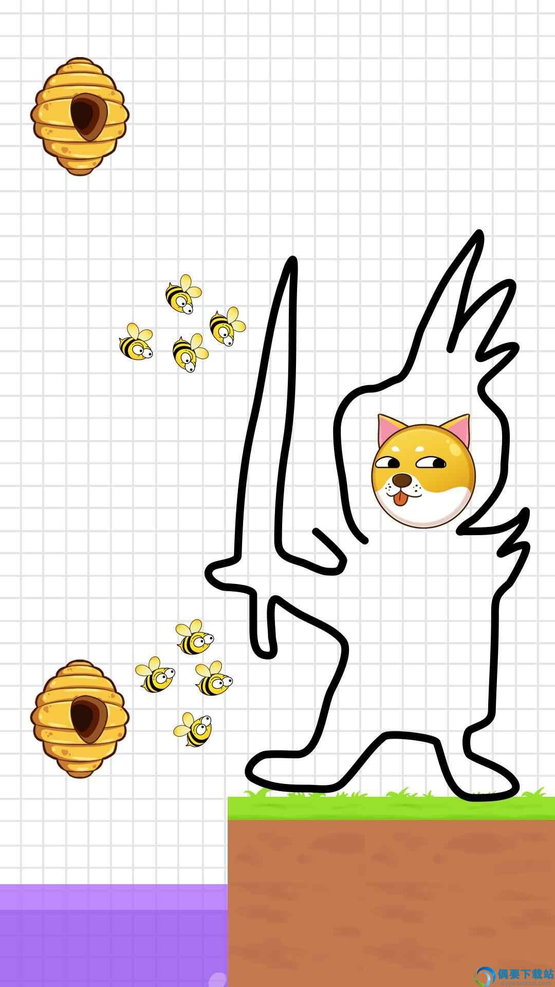 保护狗狗安全图1