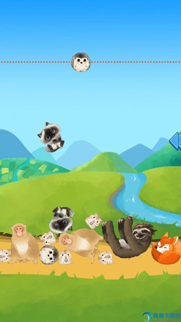 熊猫大师图2