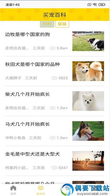 富张东狗截图3