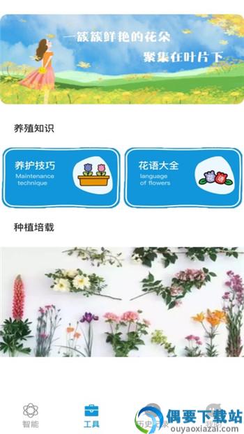 全能拍照识物图2