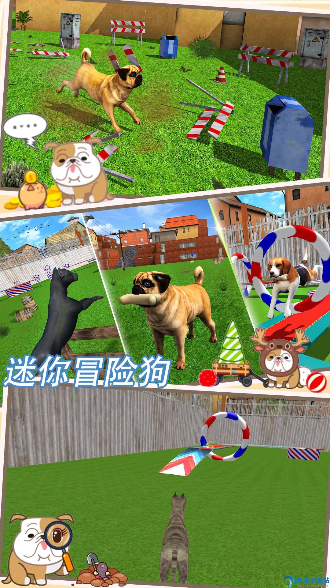 迷你冒险狗图3