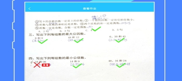 批改作业神器